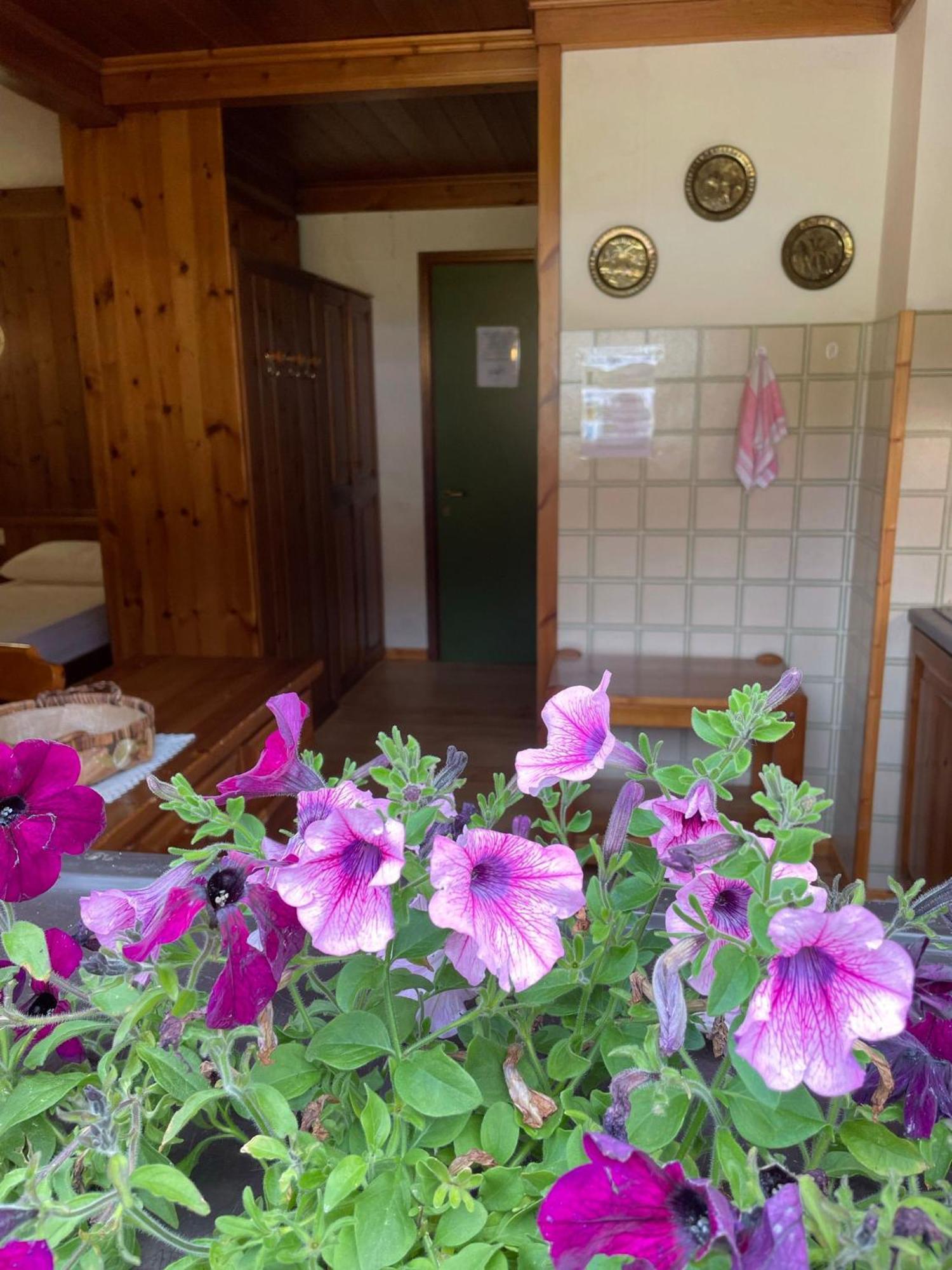 Chalet Scoiattolo Residence Sussy Falcade Exteriér fotografie
